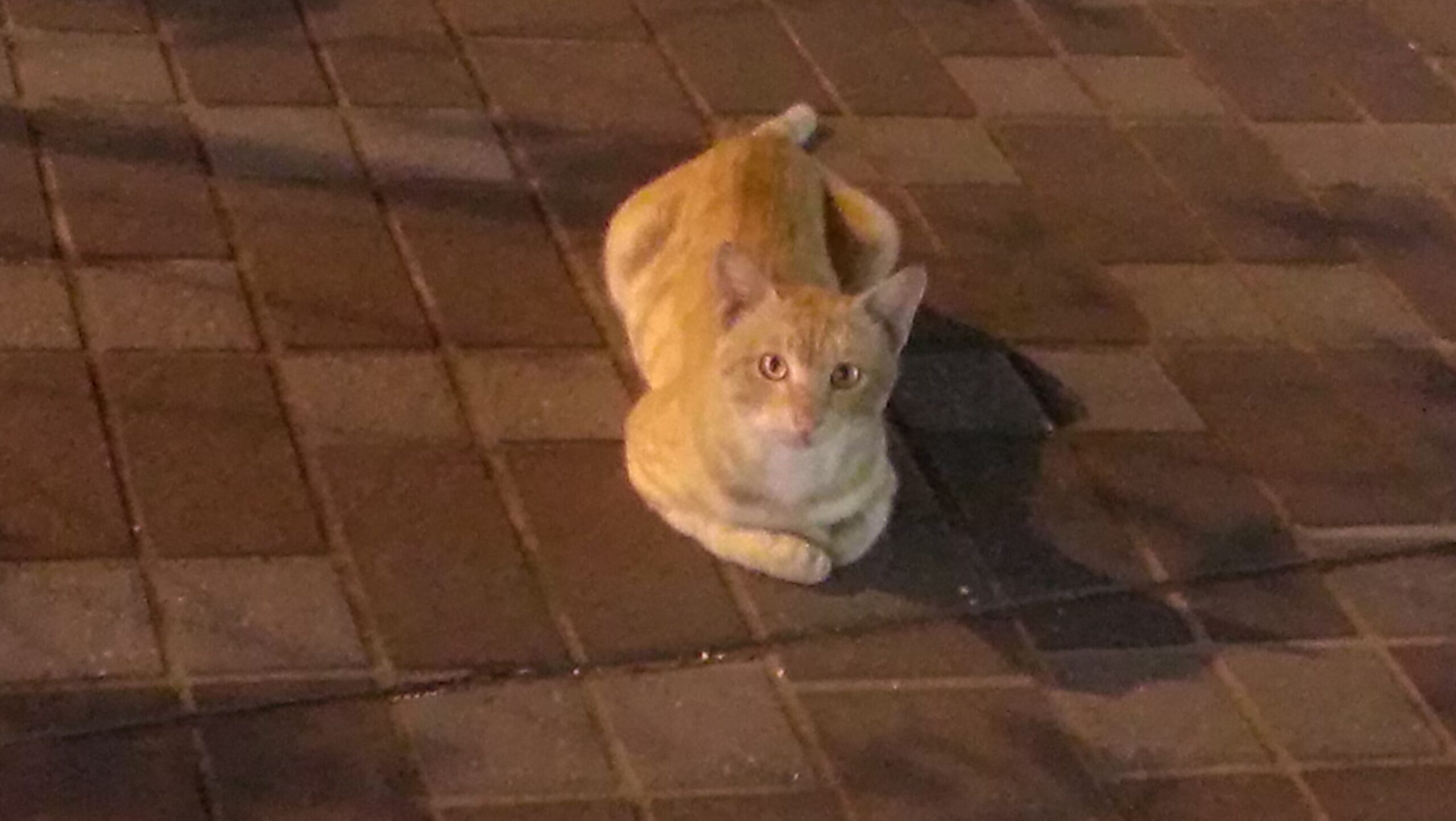 天樊夜闔　卷六：金鏟